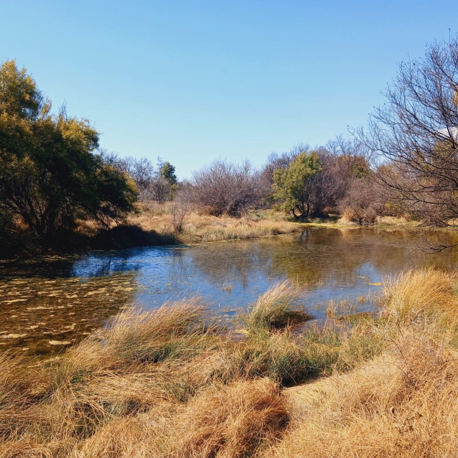  Bedroom Property for Sale in Barkly West Rural Northern Cape